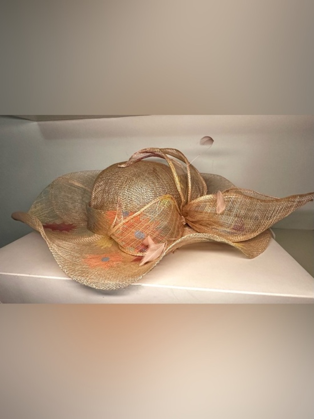Wide-Brim Sinamay Hat